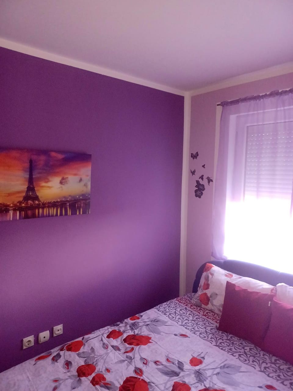 Lovely L home BN centar -Rent a car automatic Apartment in Vojvodina