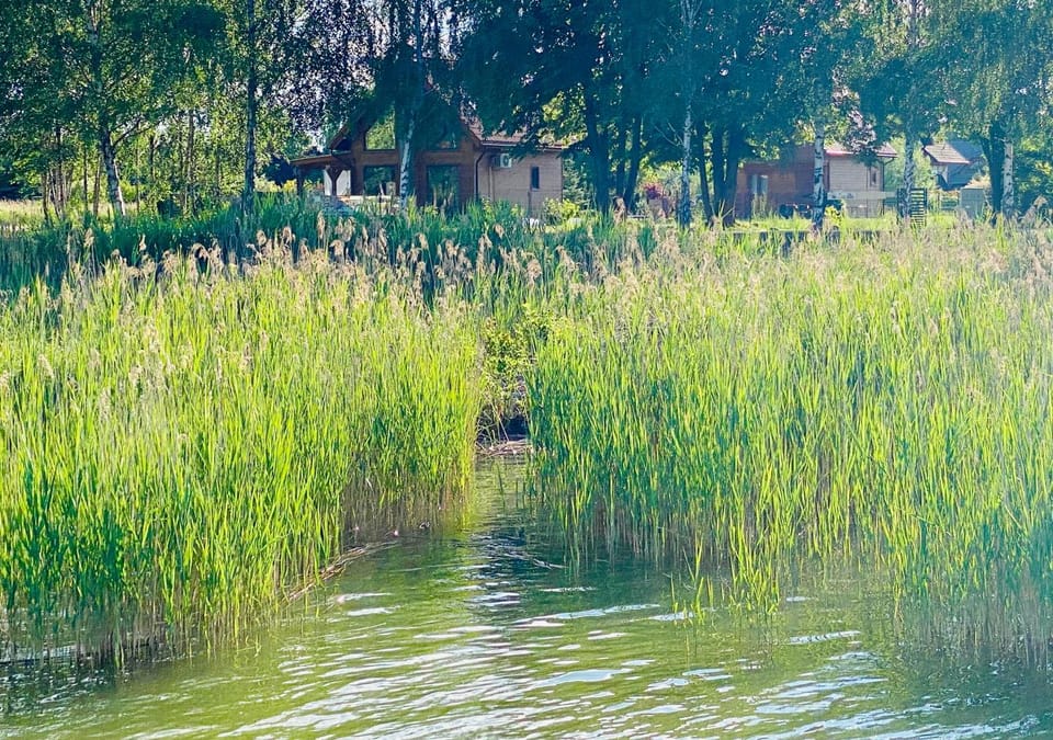 Lake view