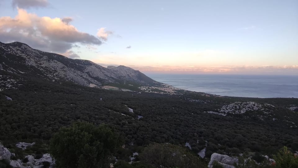 Su Saucu House in Sardinia