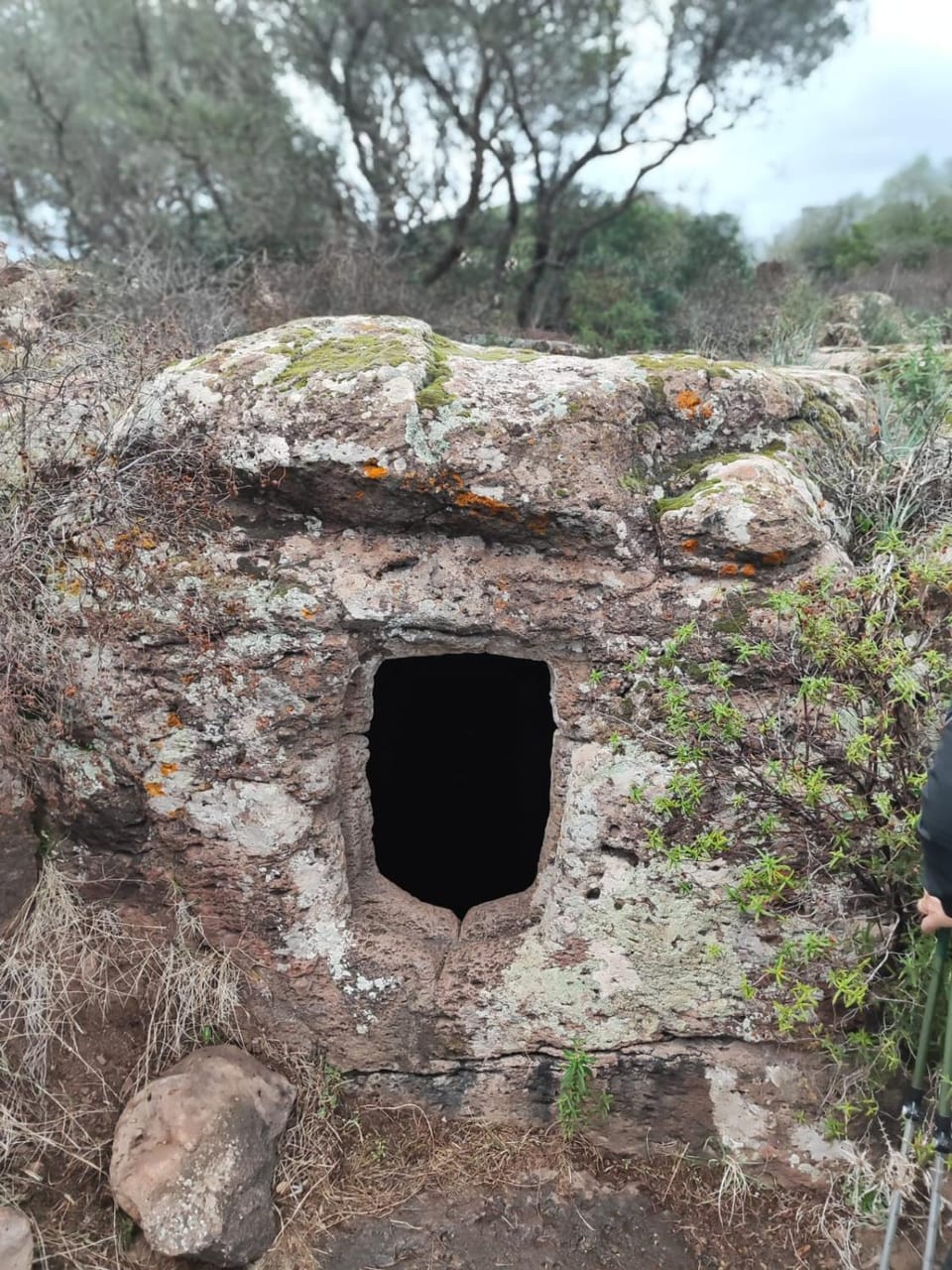 Su Saucu House in Sardinia