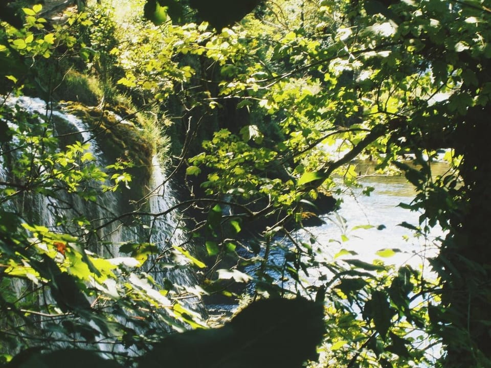 River view