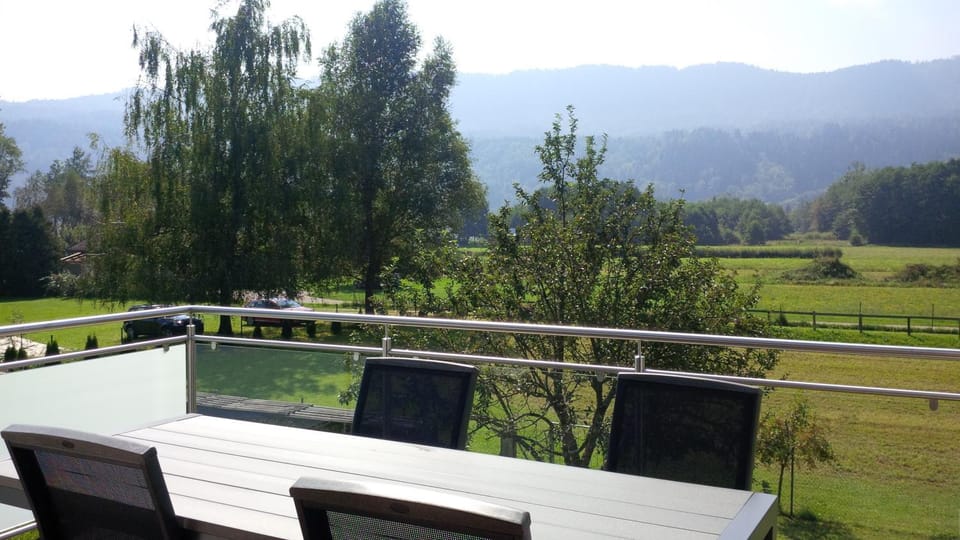 Lake view