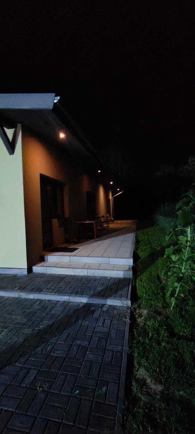 Night