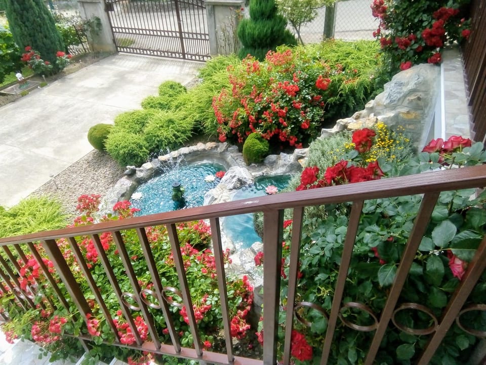 Apartment Vila MM Srce Apartment in Vojvodina