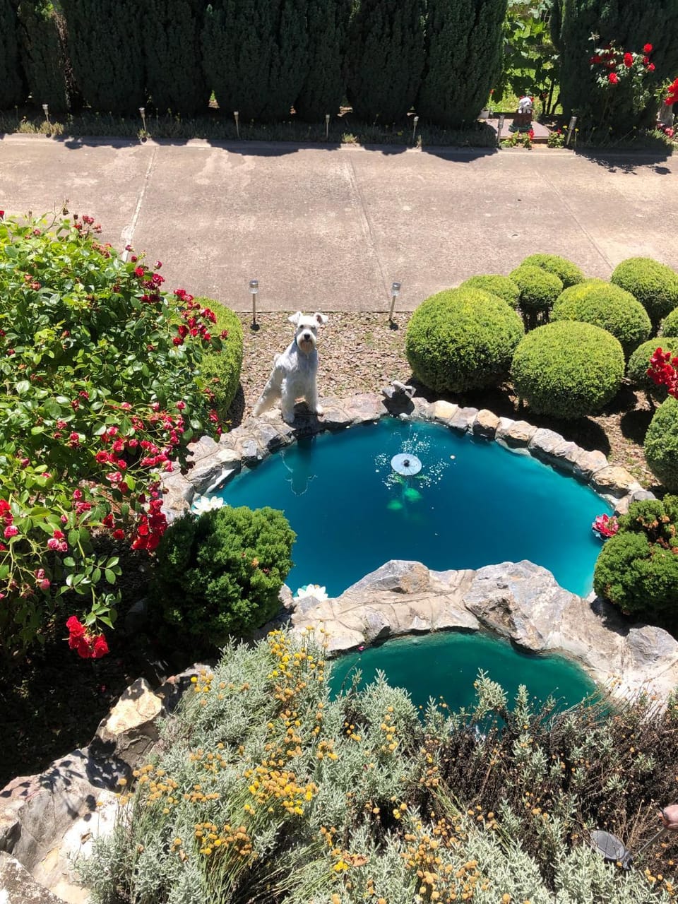 Apartment Vila MM Srce Apartment in Vojvodina