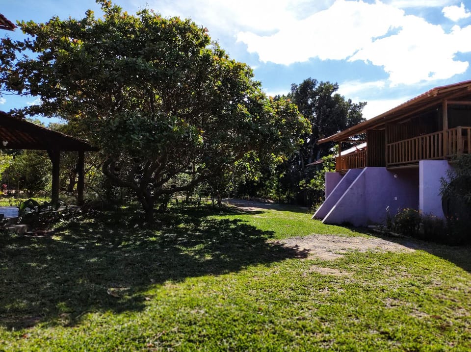 Property building, Garden view