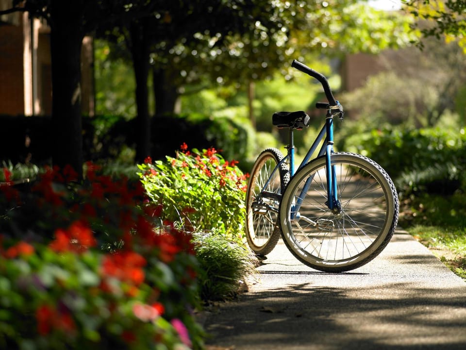 Neighbourhood, On site, Entertainment