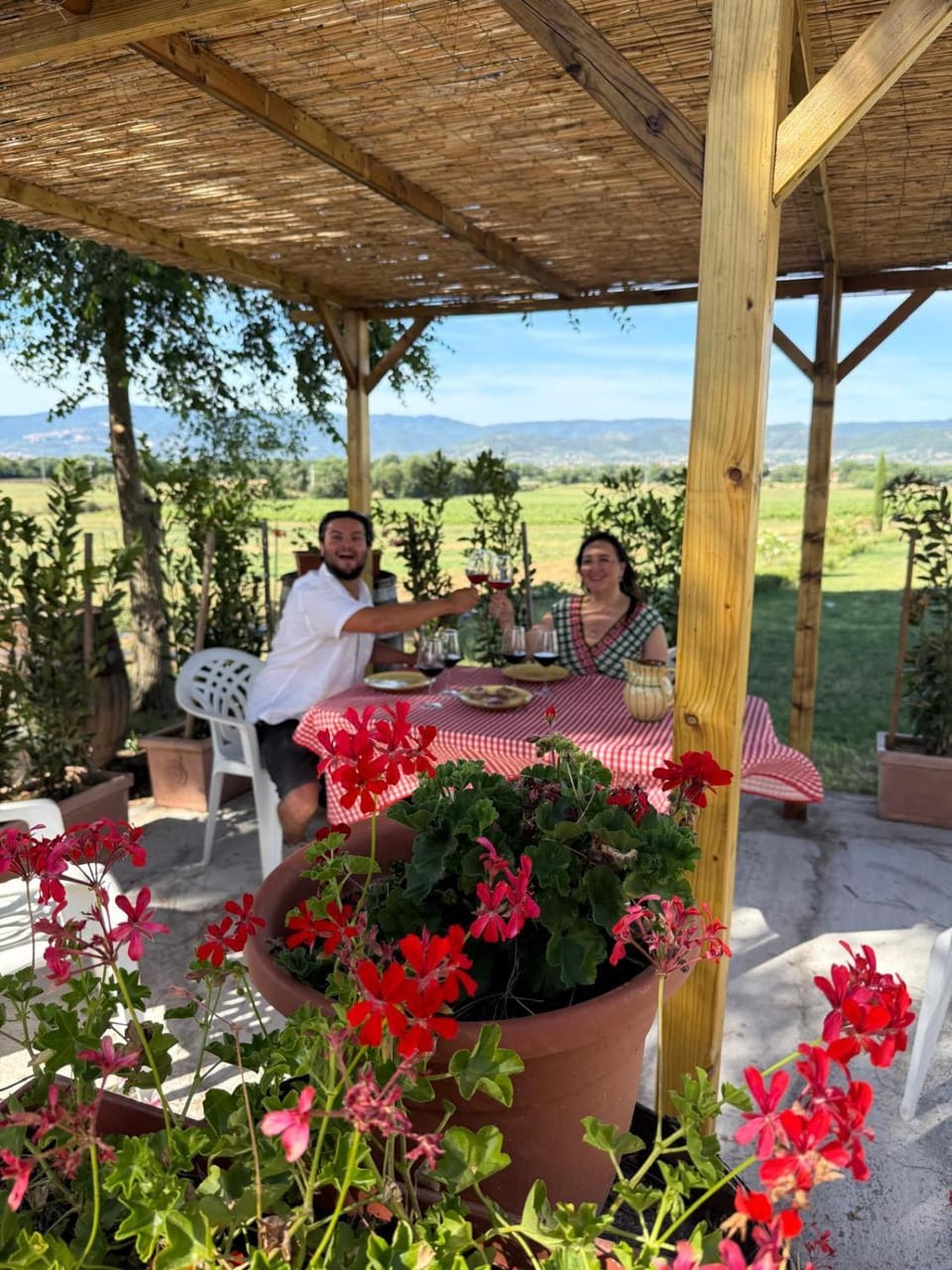 Borgo Iris - Wine Farm near Cortona Farm Stay in Umbria