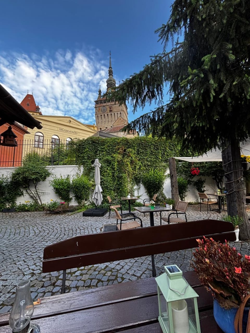 Garden