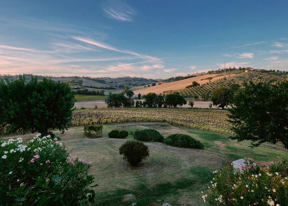 Spring, Day, Natural landscape, Garden, Garden view, Mountain view