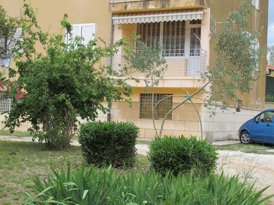 Property building, Balcony/Terrace