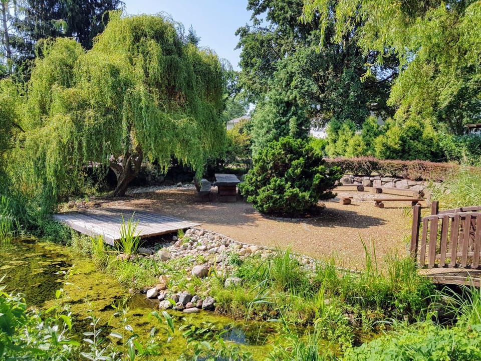 BBQ facilities, Garden