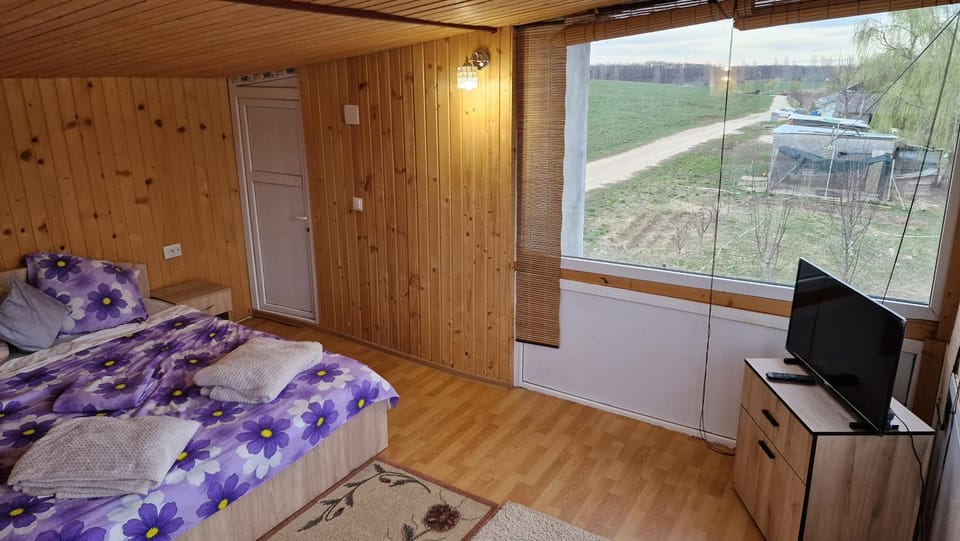 Casa Verde House in Romania