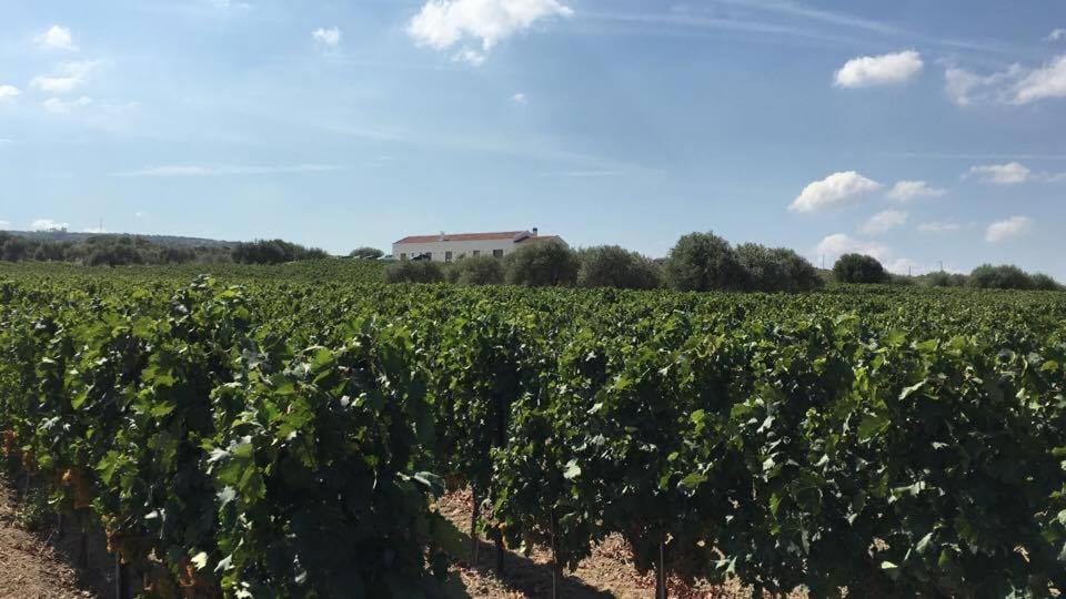 View (from property/room), Landmark view