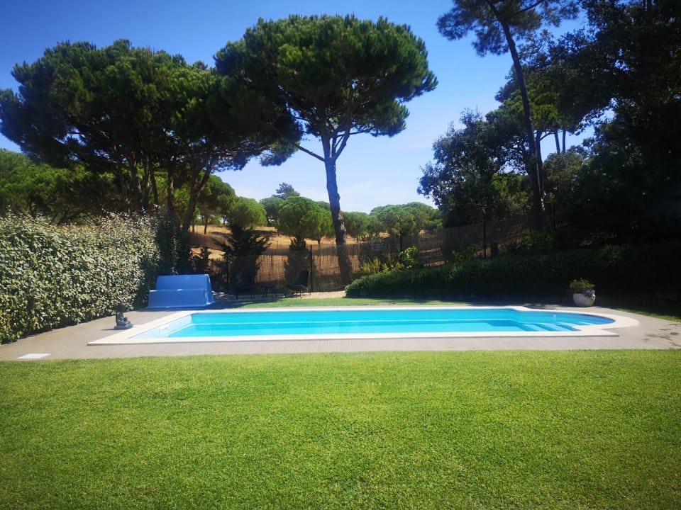 Garden, Garden view, Pool view