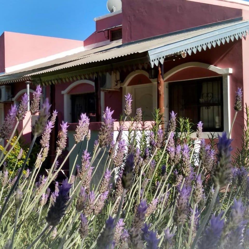 Bungalows Los Talas de San José Apartment hotel in Entre Ríos Province, Argentina