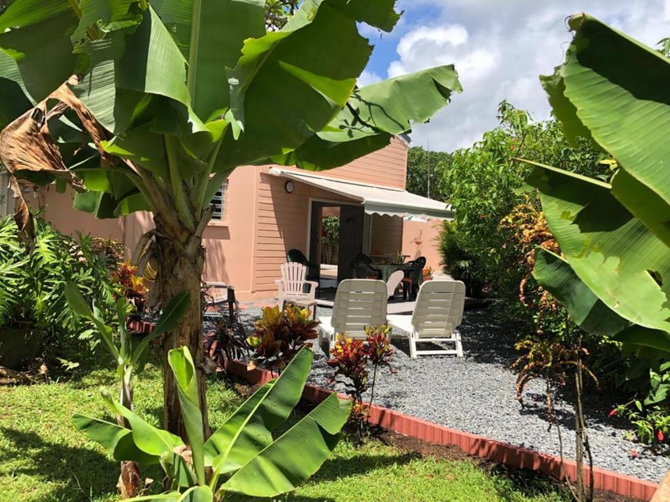 Garden, Garden