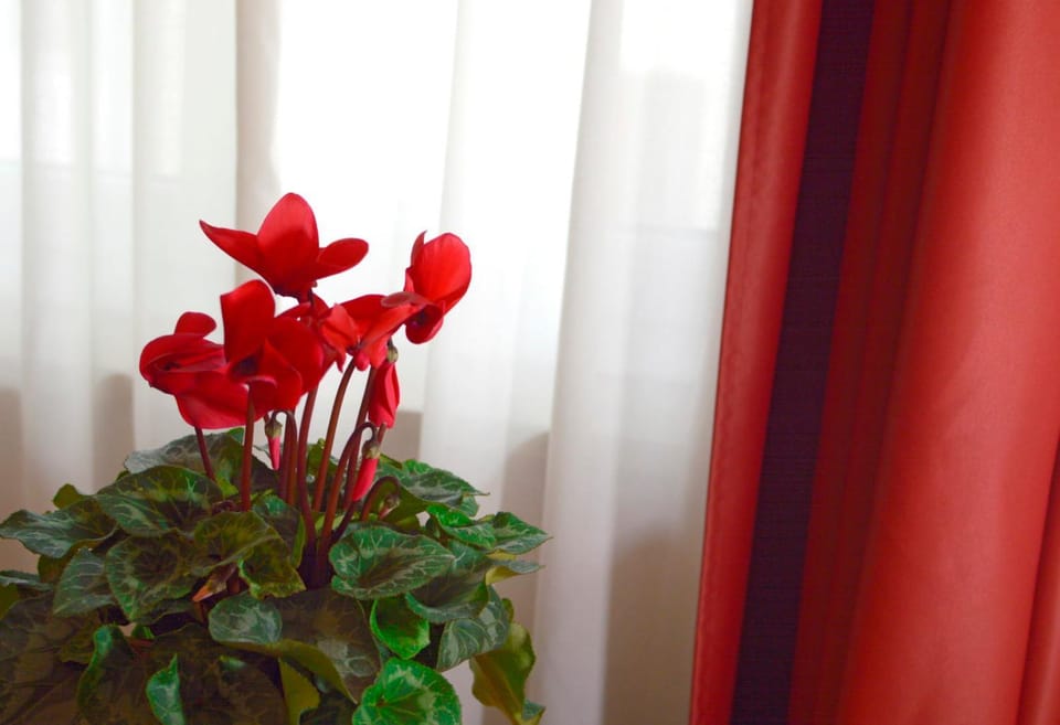 Camere Delfini Bed and Breakfast in Friuli-Venezia Giulia