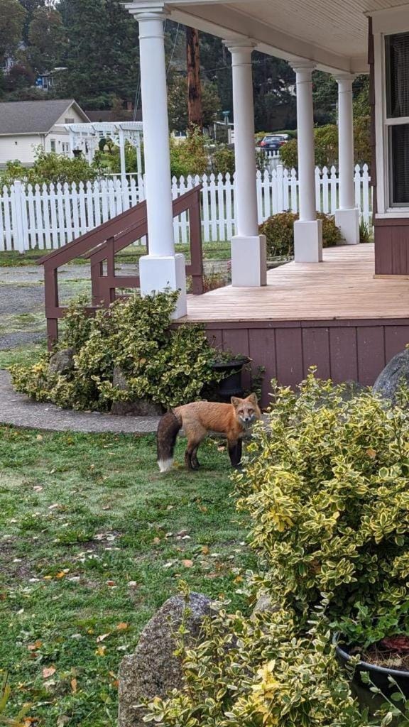 Peter Jensen House Bed and Breakfast in Friday Harbor