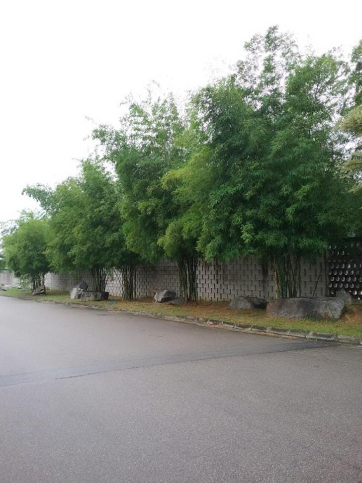 Property building, Off site