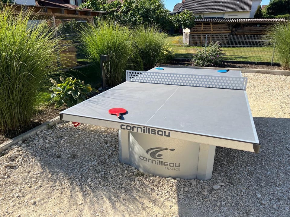 Table tennis