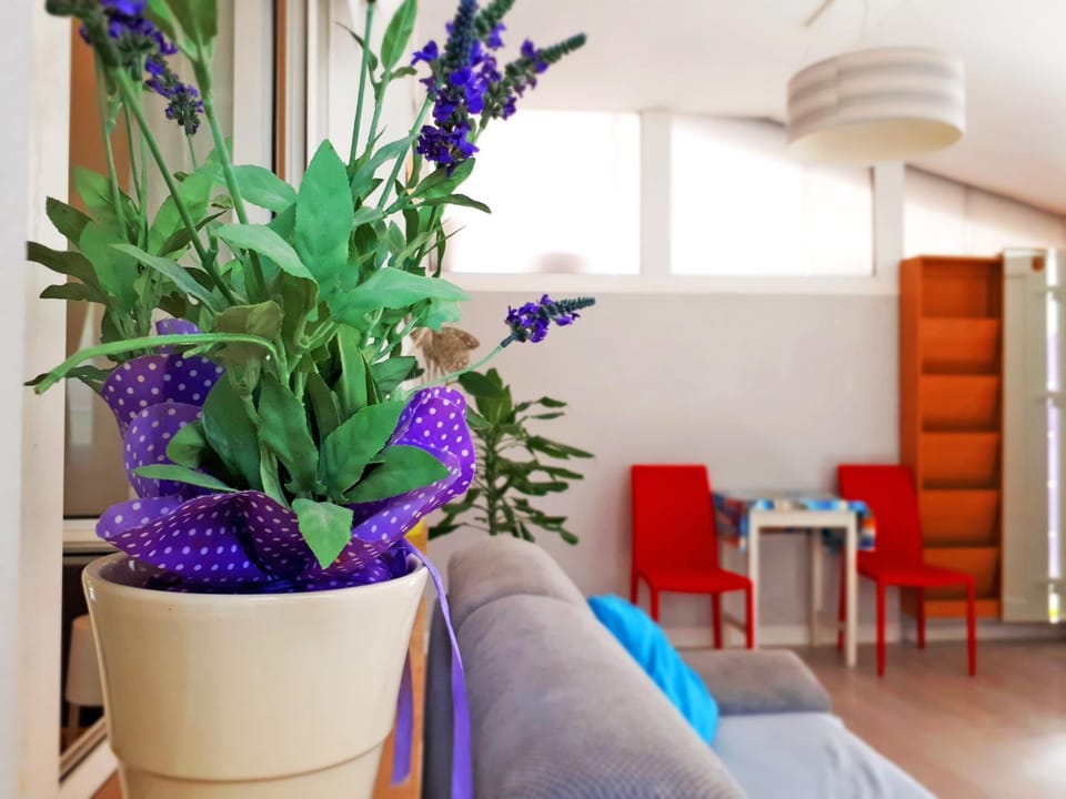 Living room, Decorative detail