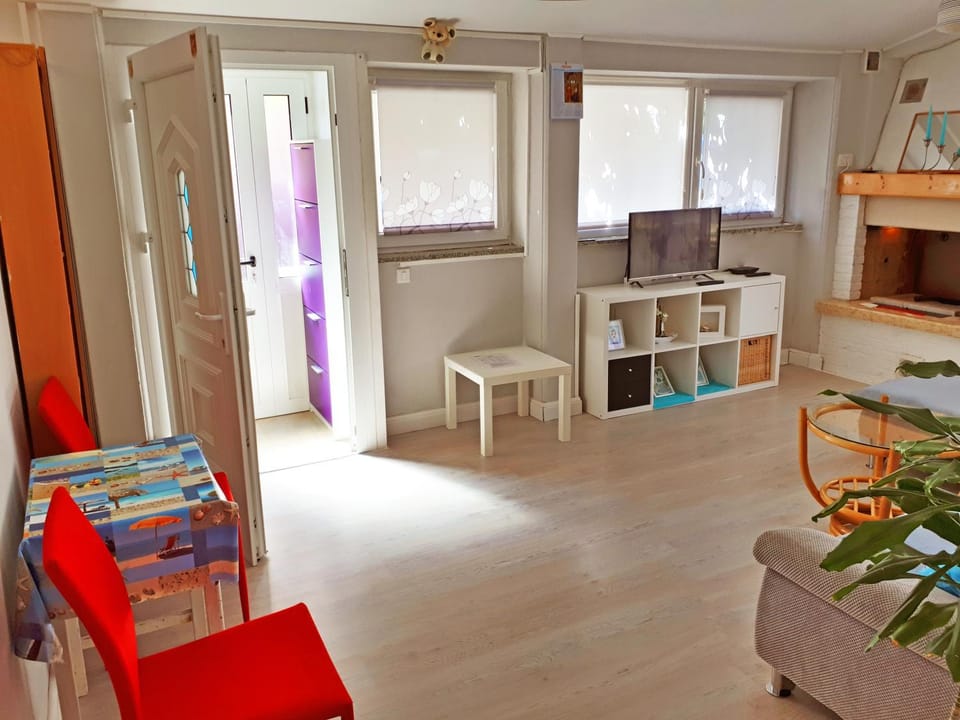 Day, Summer, TV and multimedia, Living room, Photo of the whole room, Seating area, Cycling, On site, Family