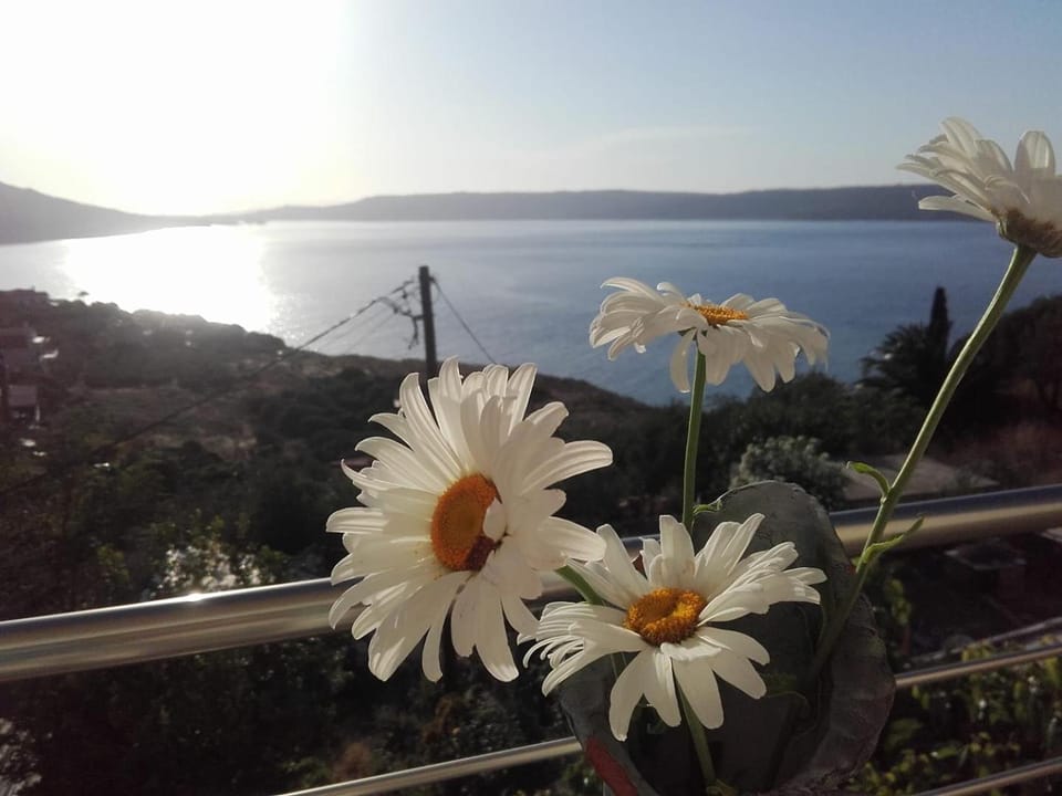 Olympic View Guesthouse Bed and Breakfast in Crete