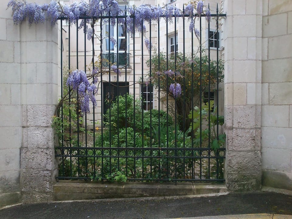 Property building, View (from property/room)