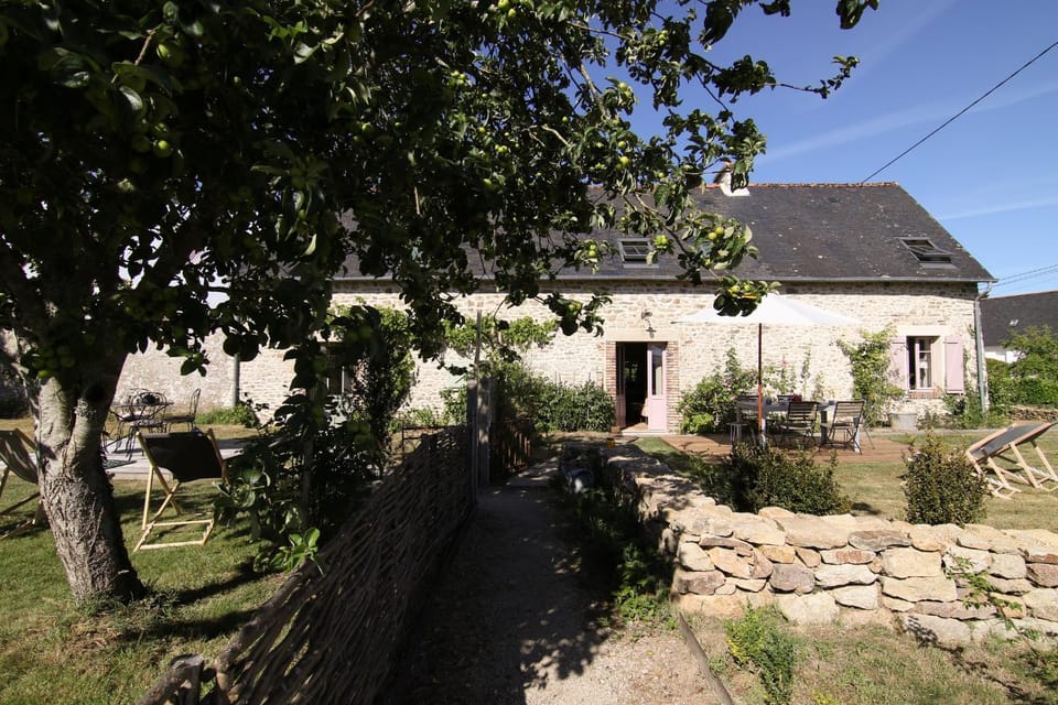 Patio, Garden