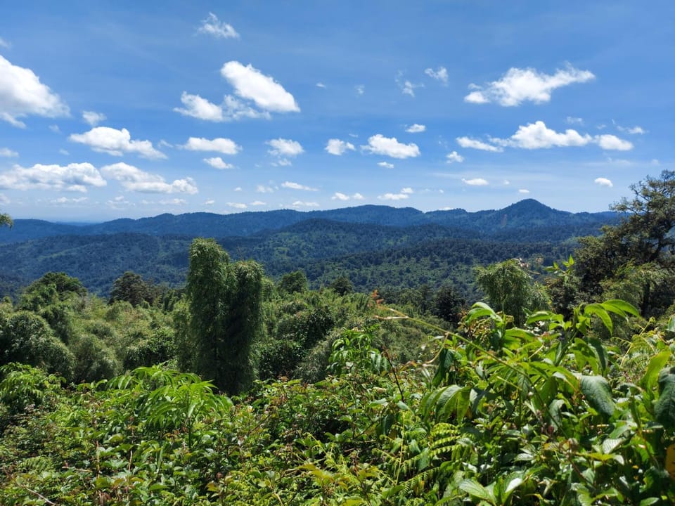 Natural landscape, Hiking, Mountain view