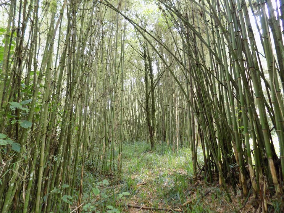 Off site, Natural landscape, Hiking