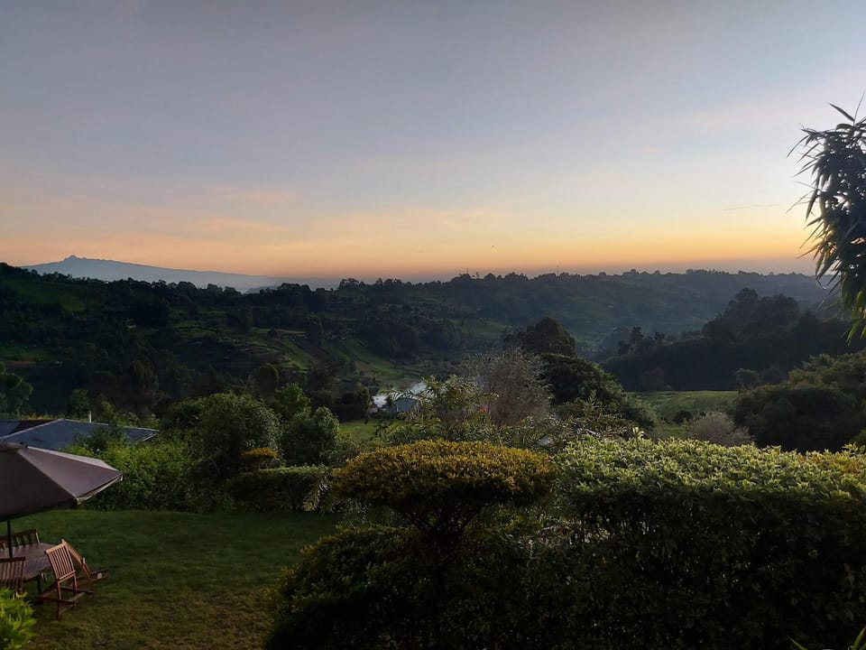 Natural landscape, Garden, Garden view, Mountain view, Sunrise, Sunset