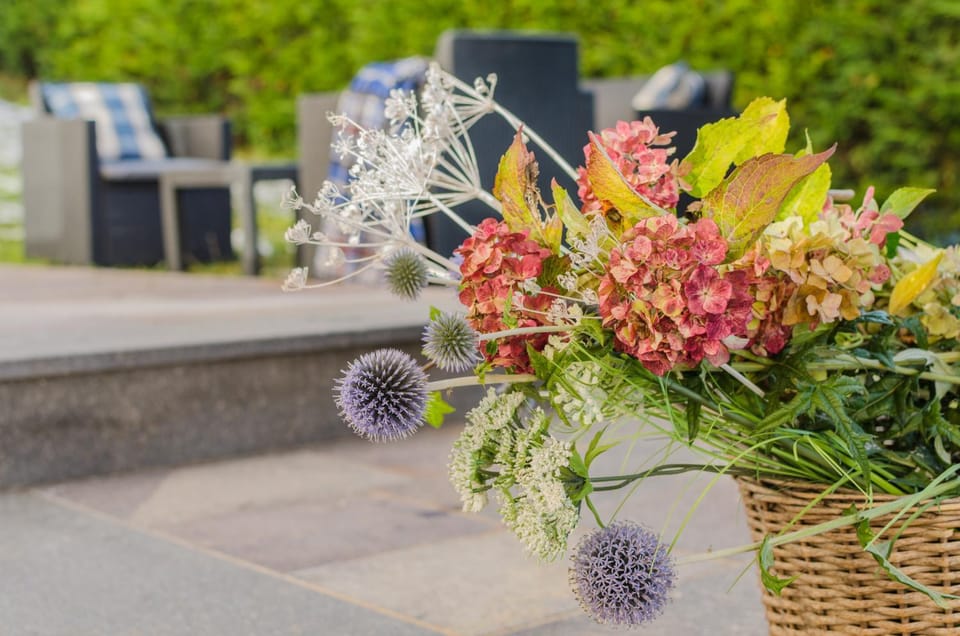 Spring, Garden, Garden view