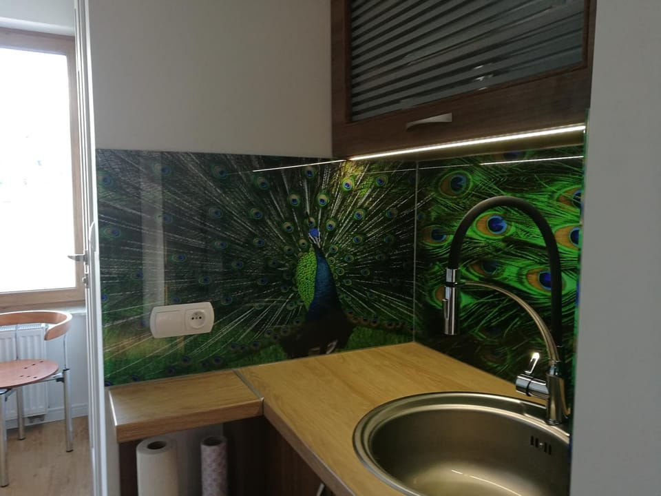 Suwałki Centrum Apartament Apartment in Lithuania