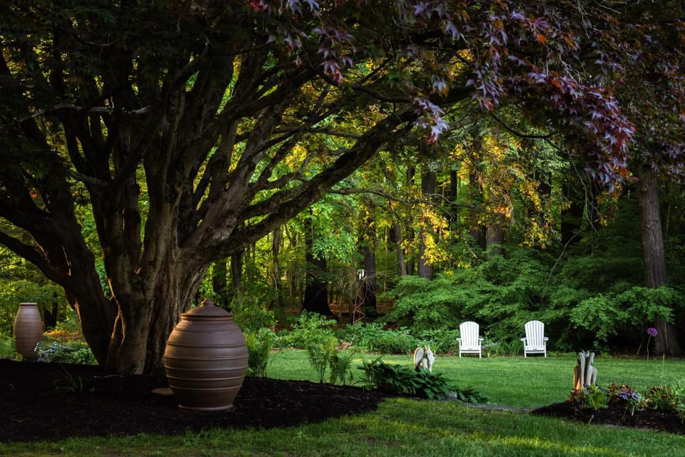 Spring, Day, Summer, Garden, On site
