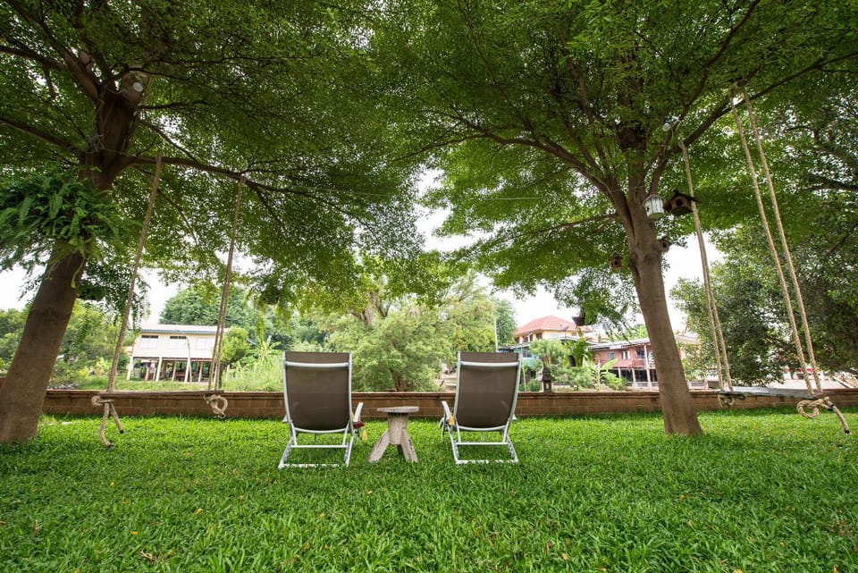 Day, Garden, Garden view