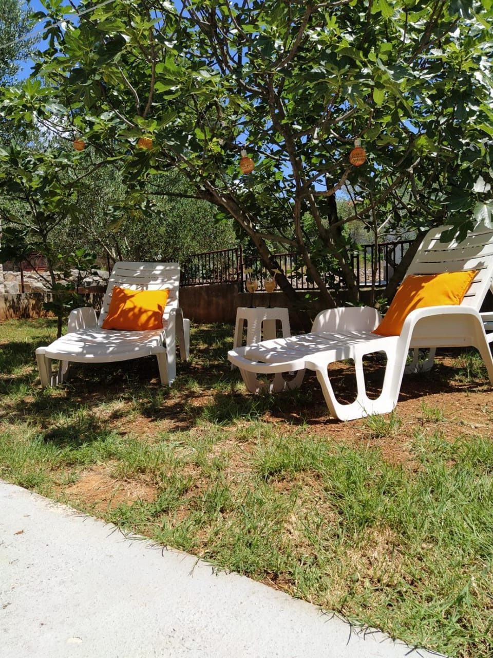 Garden view
