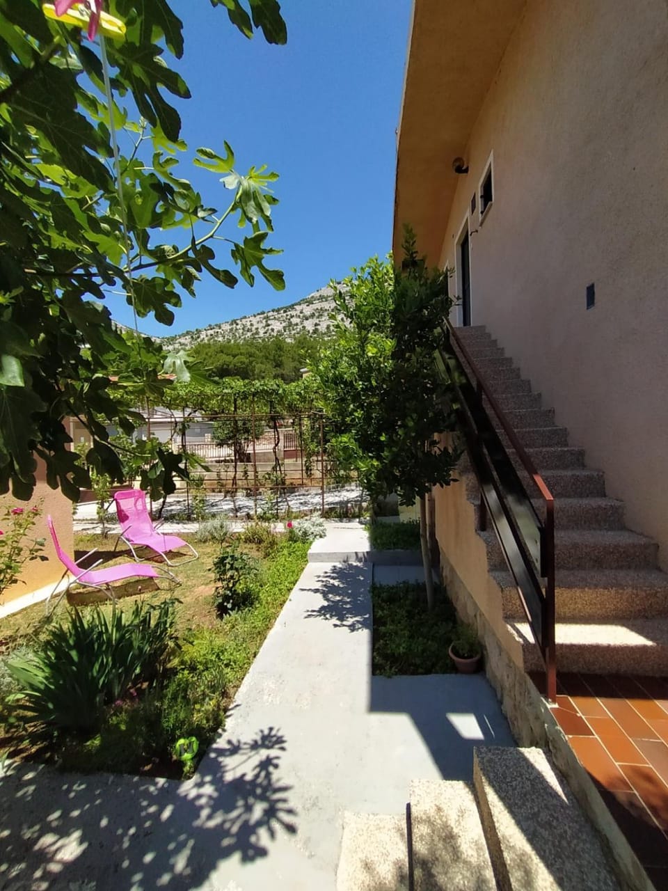 Garden view