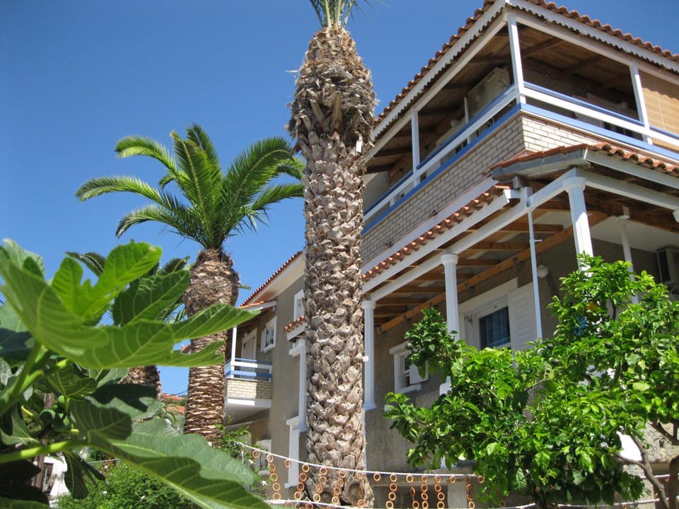 Property building, Day