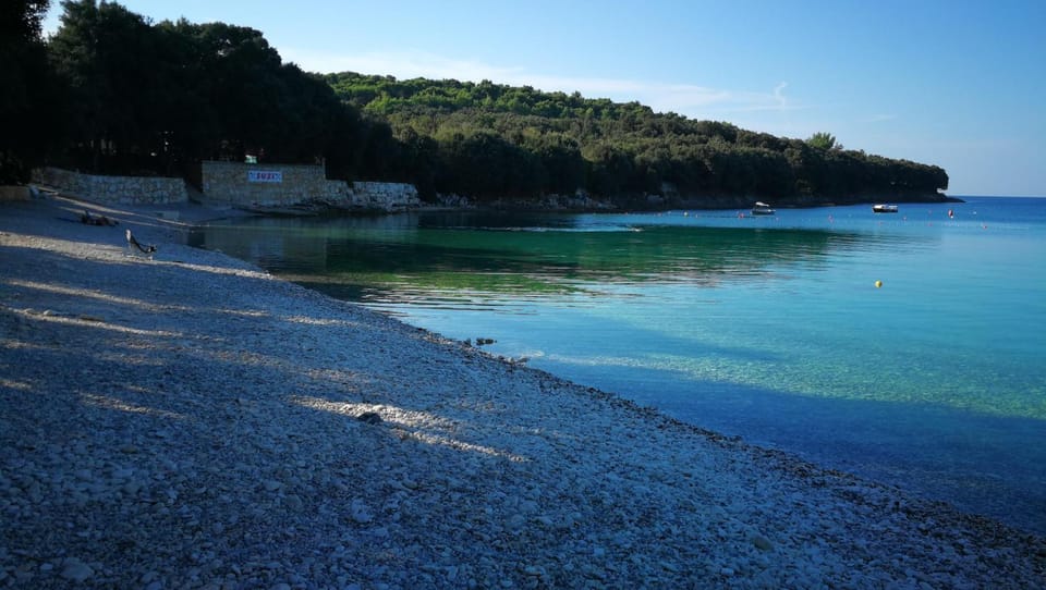 Apartments Branko Apartment in Banjole