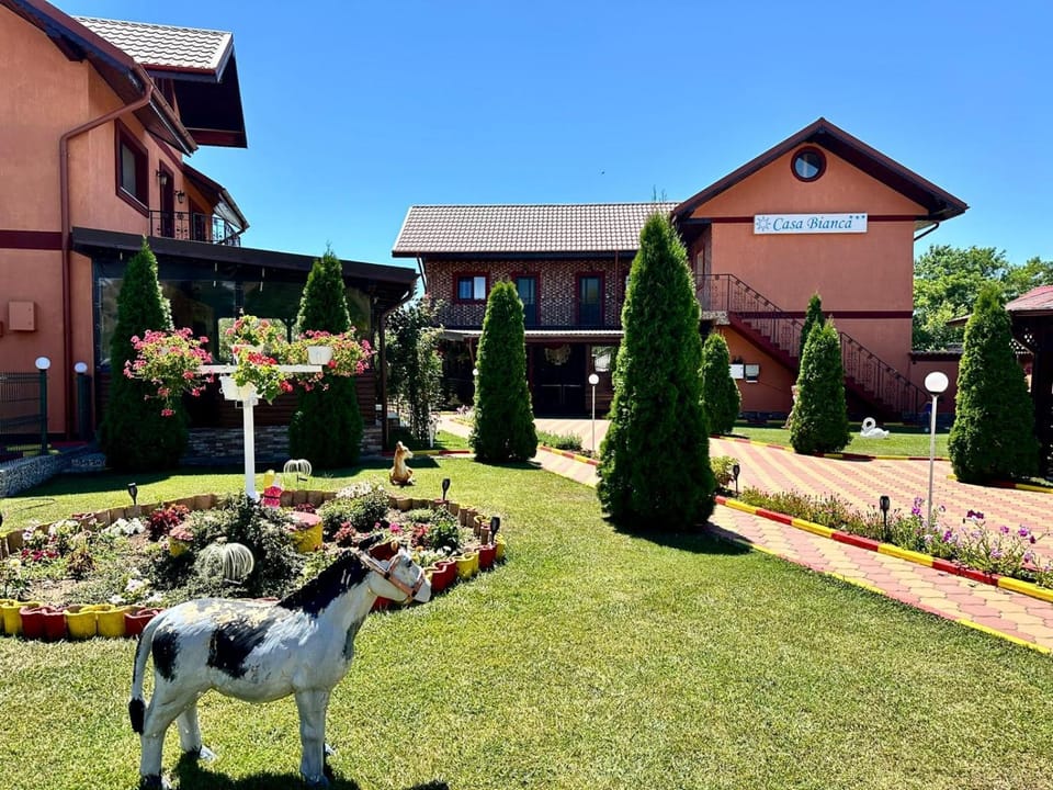 Property building, Garden