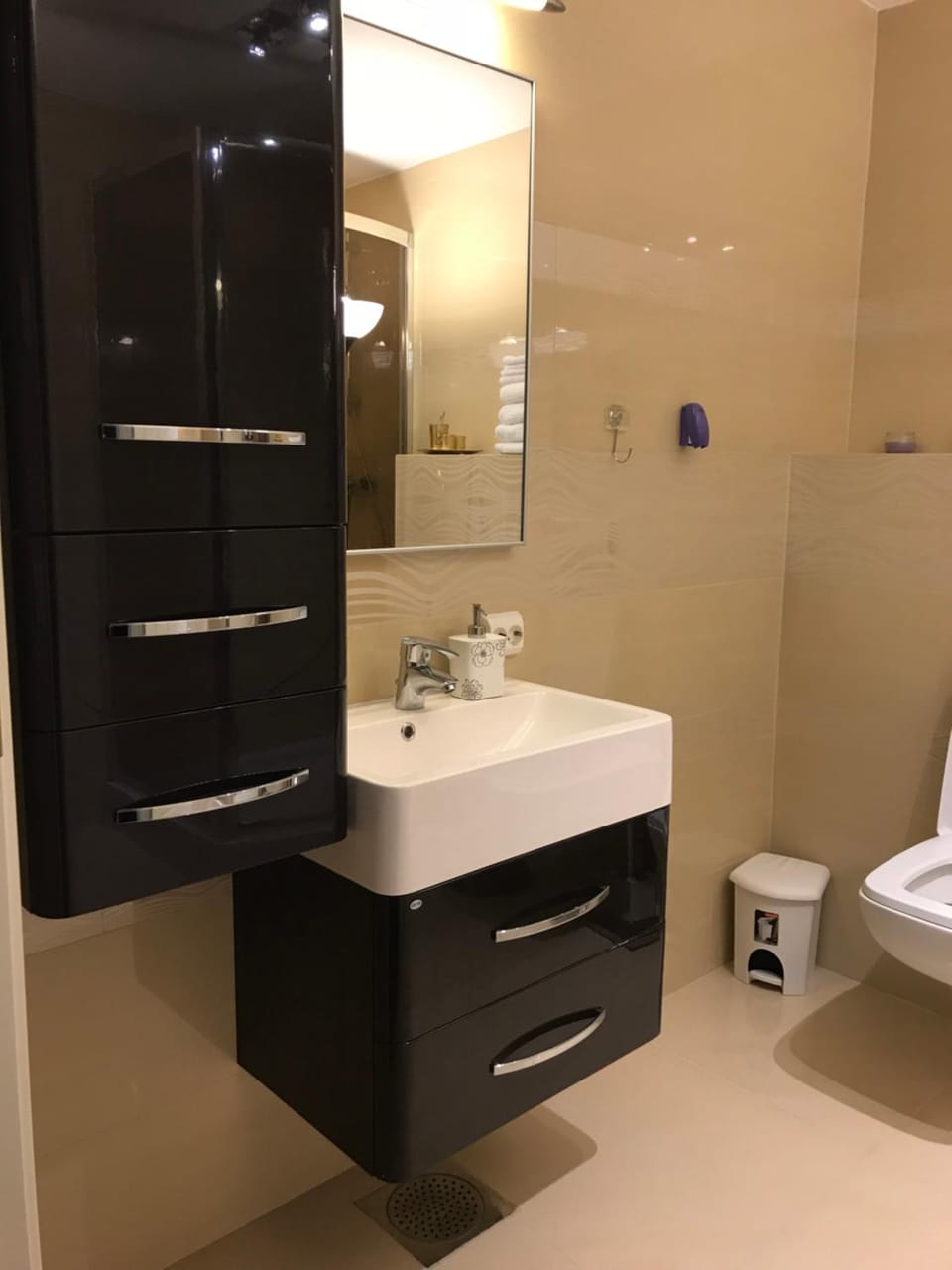 Toilet, Bathroom