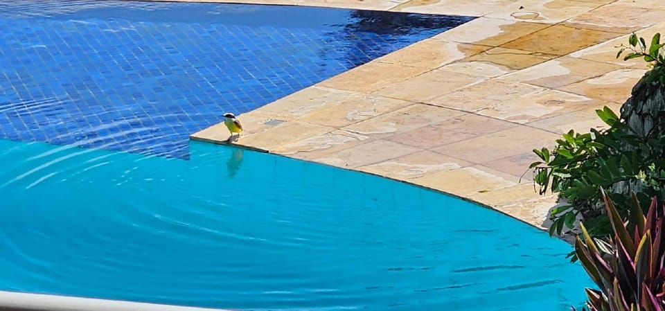 Casa de Praia em Mundaú House in State of Ceará