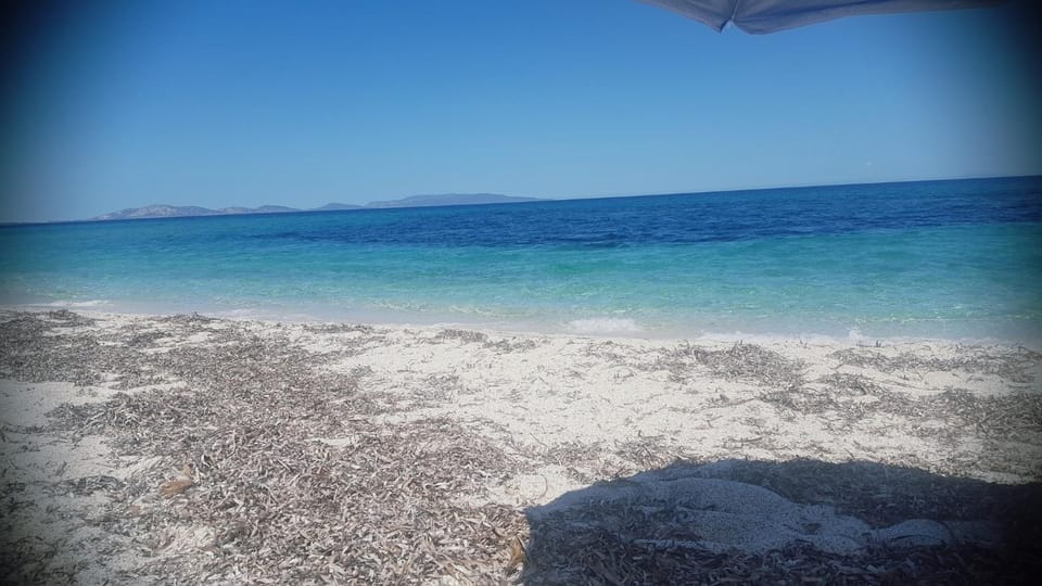 Il Mandorlo Apartment in Sardinia