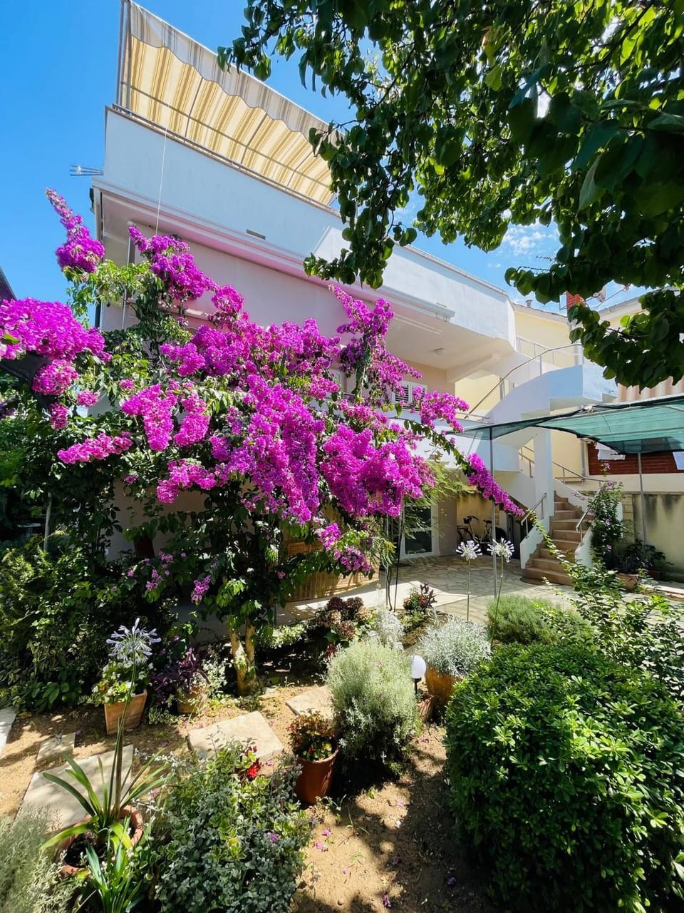 Property building, Garden view