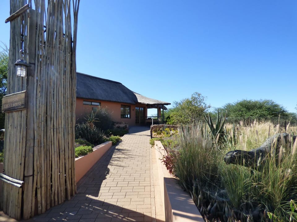 Property building, Garden view