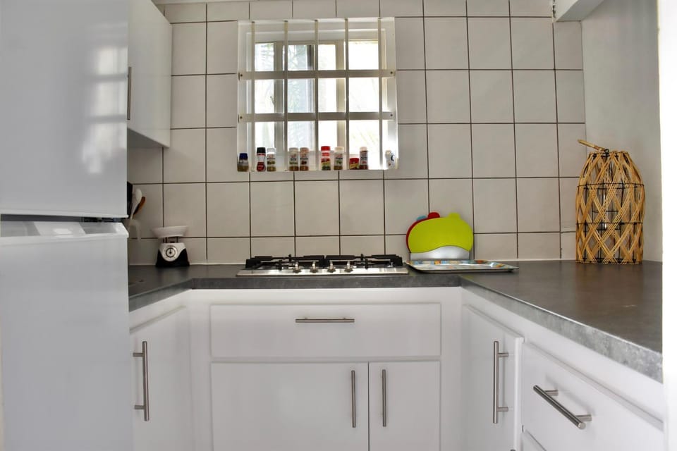 Seru Coral Apartment Apartment in Willemstad