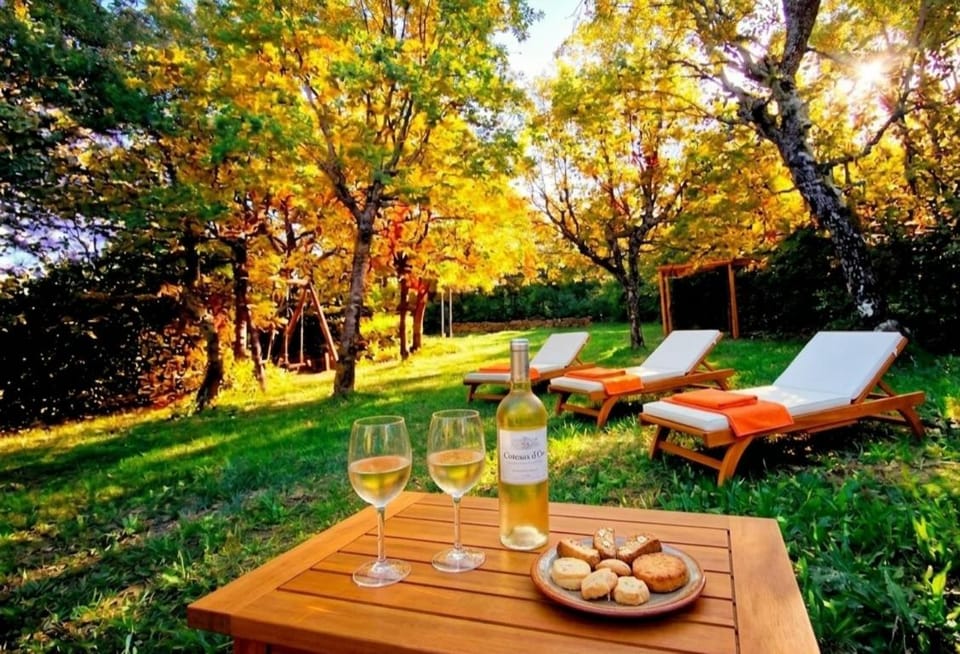 Provence, Piscine, proche d'Orange, Gorges de l'Ardèche, Mont Ventoux House in Provence-Alpes-Côte d'Azur