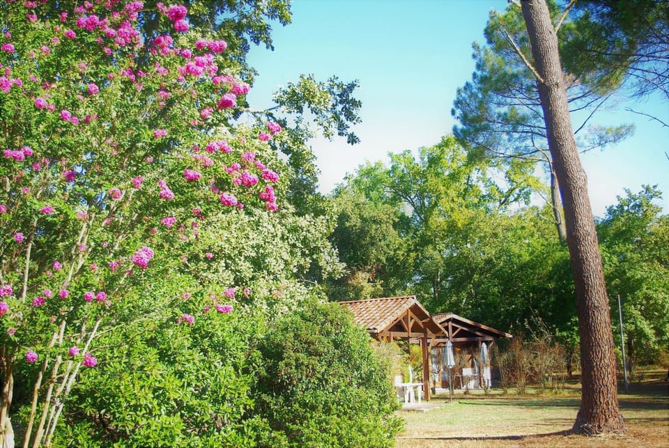 Natural landscape, Garden view